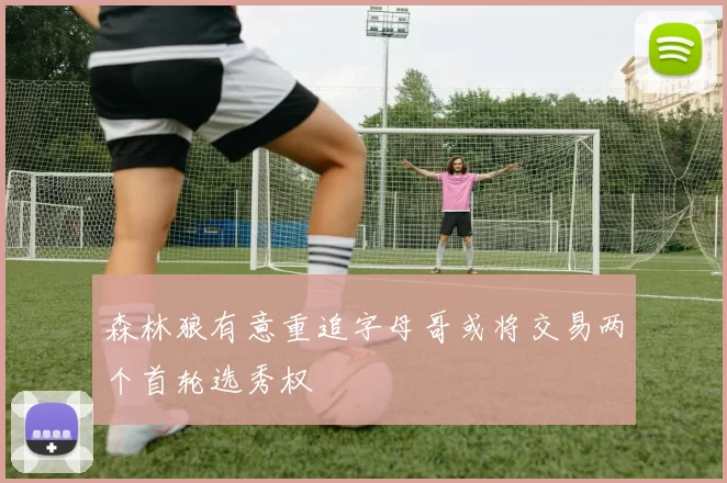 森林狼有意重追字母哥或将交易两个首轮选秀权