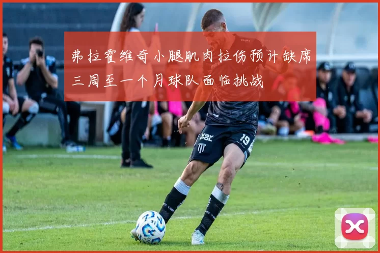 弗拉霍维奇小腿肌肉拉伤预计缺席三周至一个月球队面临挑战